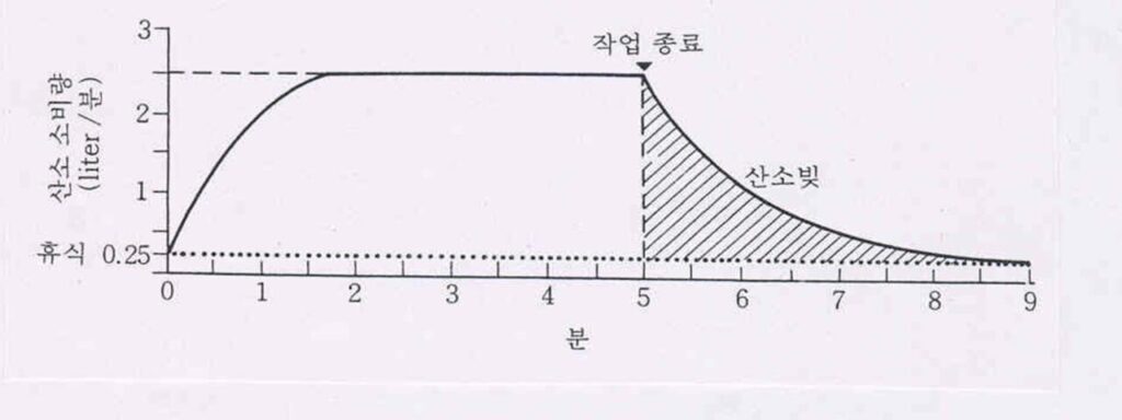 2006년 제79회 인간공학기술사 기출문제 그림