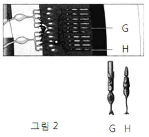 기출문제 그림6