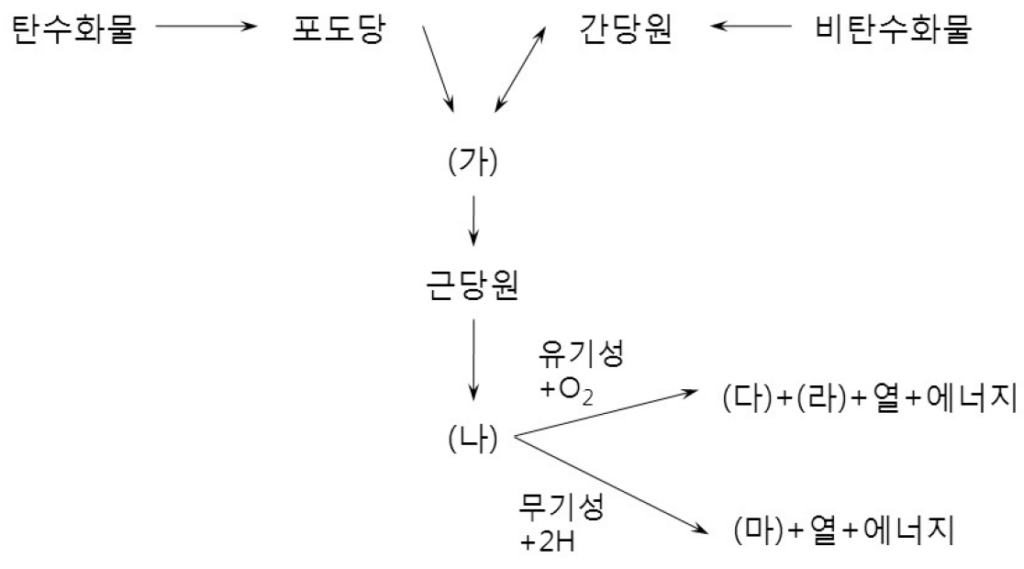 2013년 제100회 인간공학기술사 기출문제 도표10